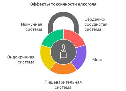 Рисунок с секторами